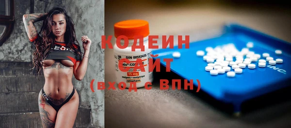 твердый Инсар