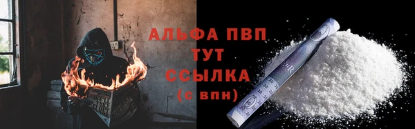 твердый Инсар
