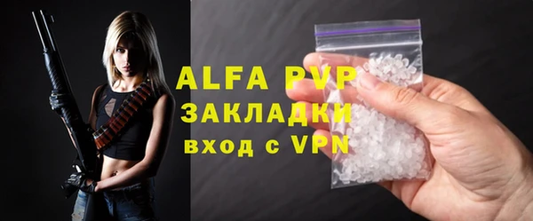 твердый Инсар