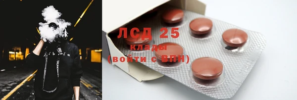твердый Инсар