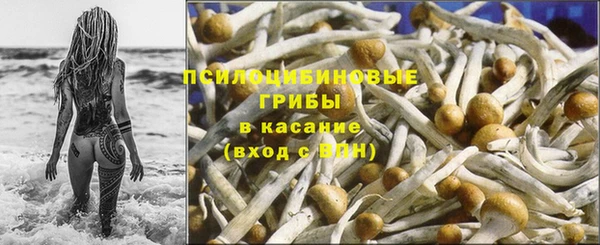 твердый Инсар