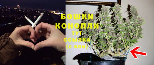 твердый Инсар