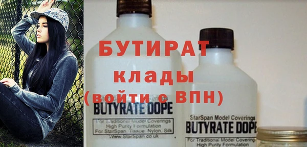 твердый Инсар