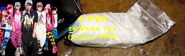 твердый Инсар