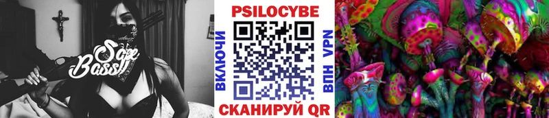 Купить где  Махачкала  Псилоцибиновые грибы MAGIC MUSHROOMS 